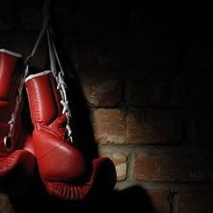 IronPower Adjustable Dumbbells